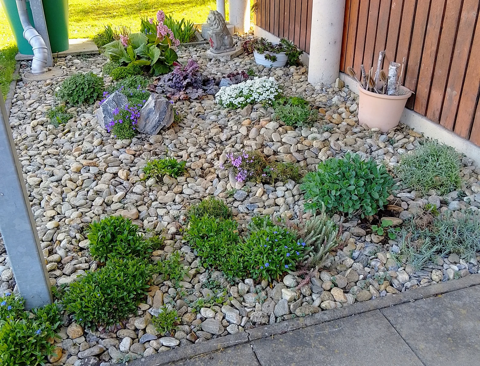 IMG_20260409_090547_HDR~2.webp