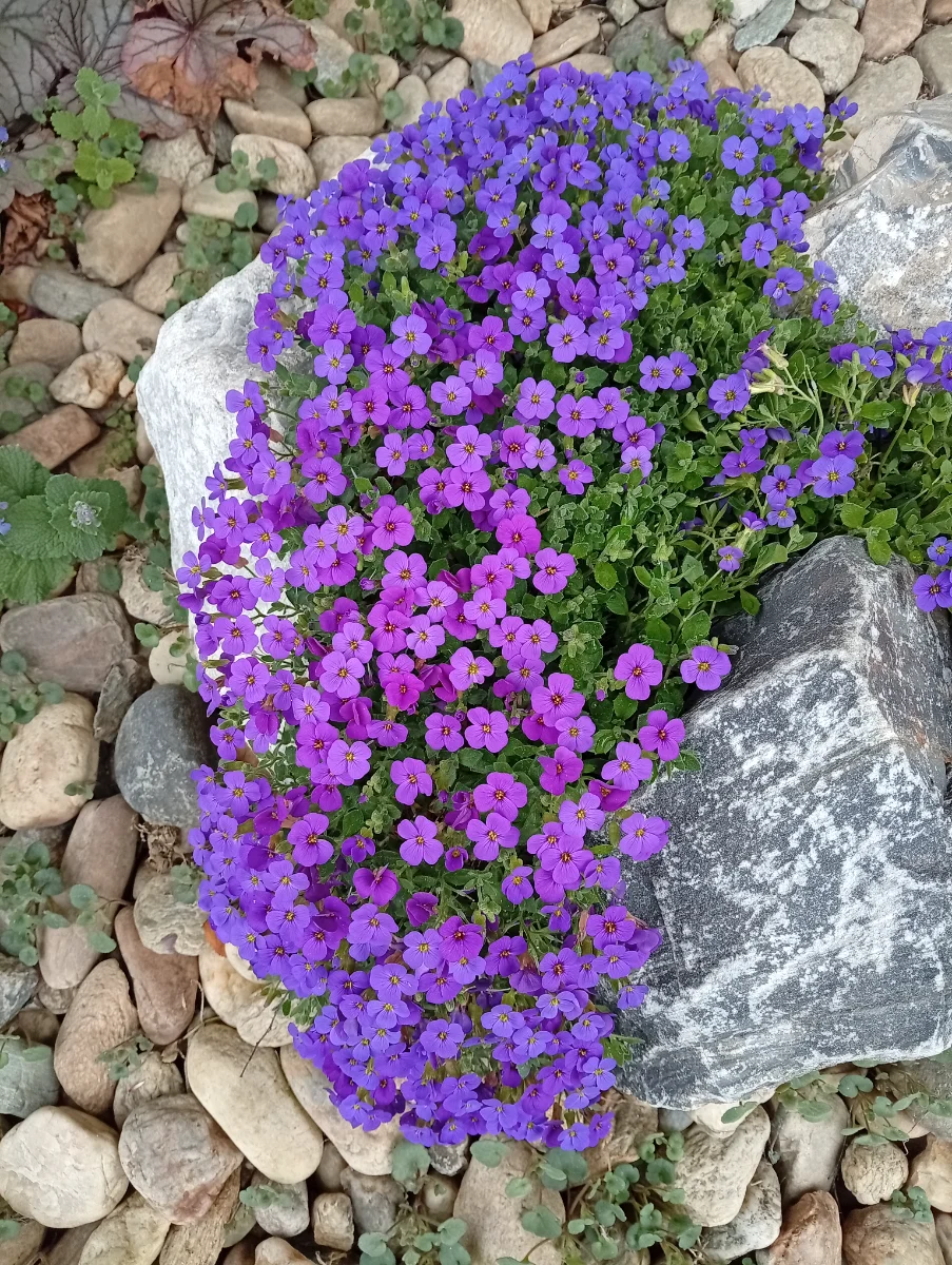 IMG_20260422_105855.webp