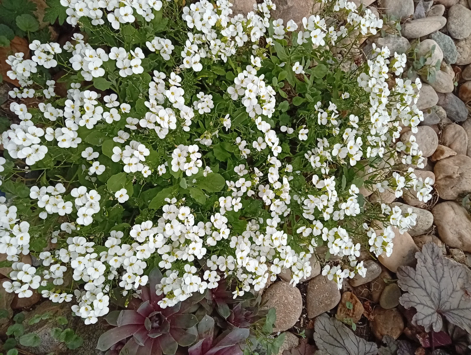 IMG_20260422_105944.webp