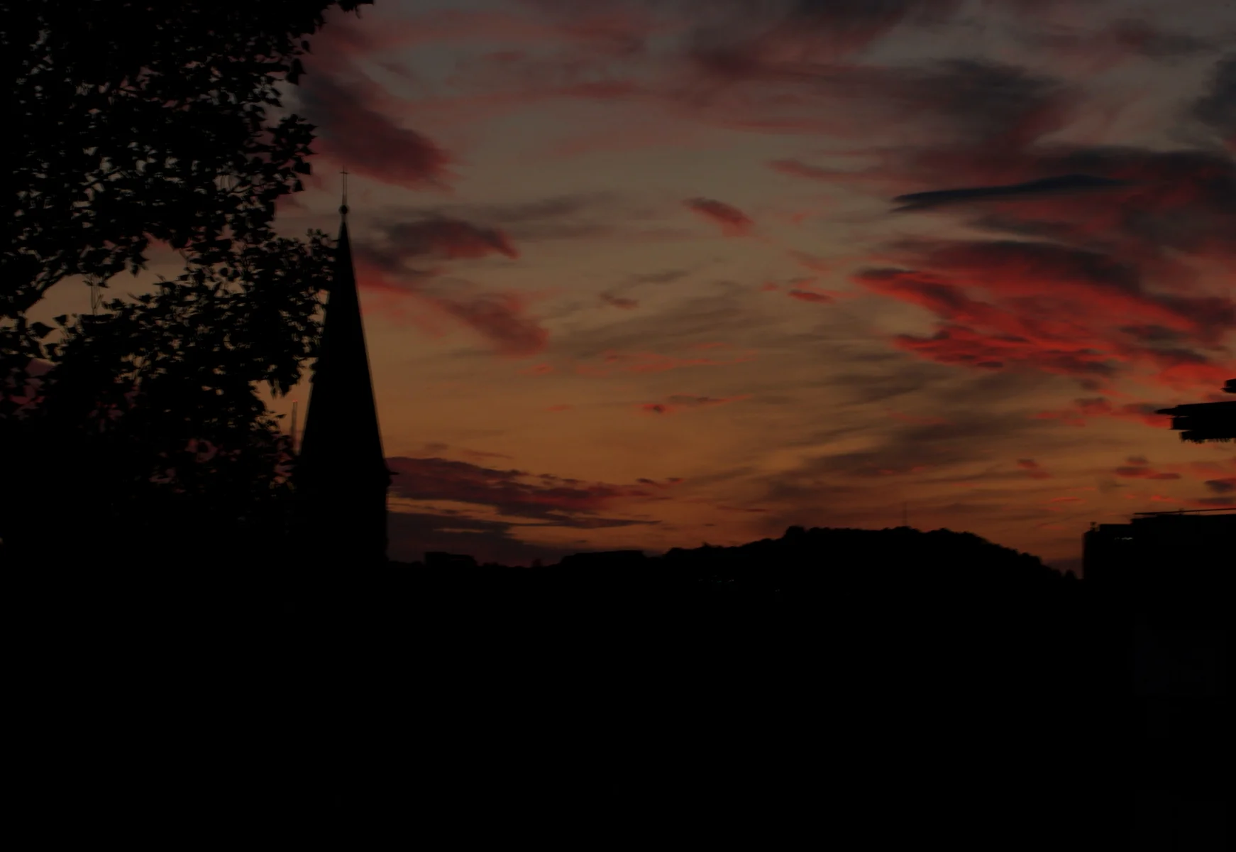 IMG_2479.webp