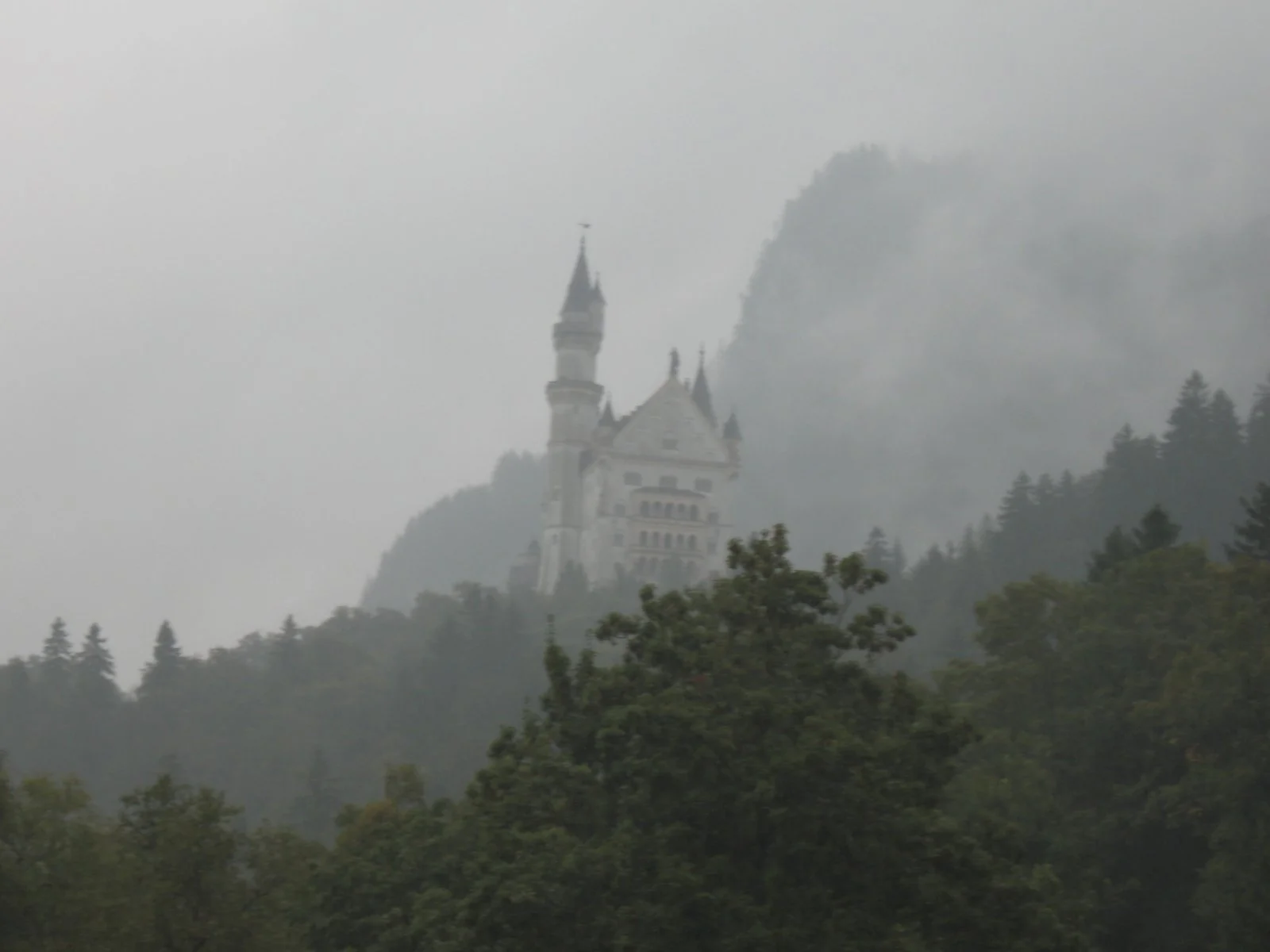 IMG_2533.JPG