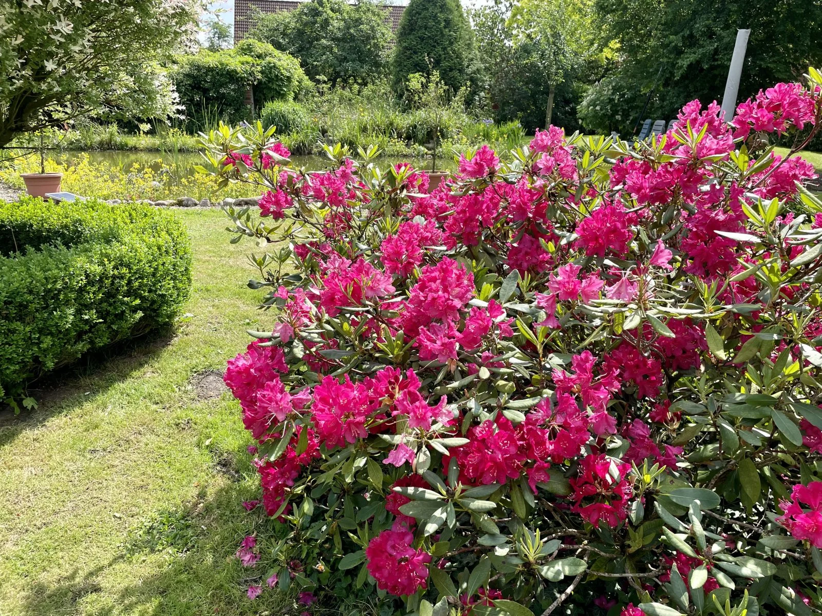 IMG_3161.jpeg