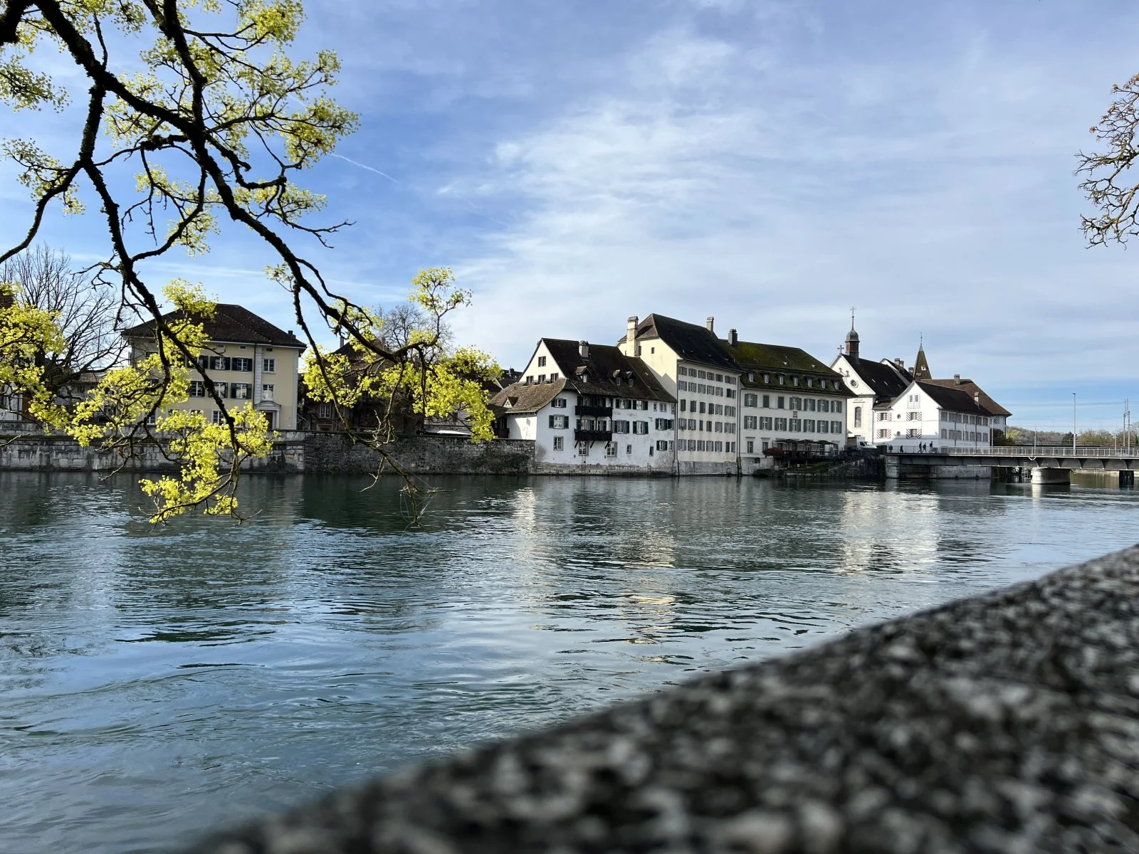 IMG_3623.jpeg