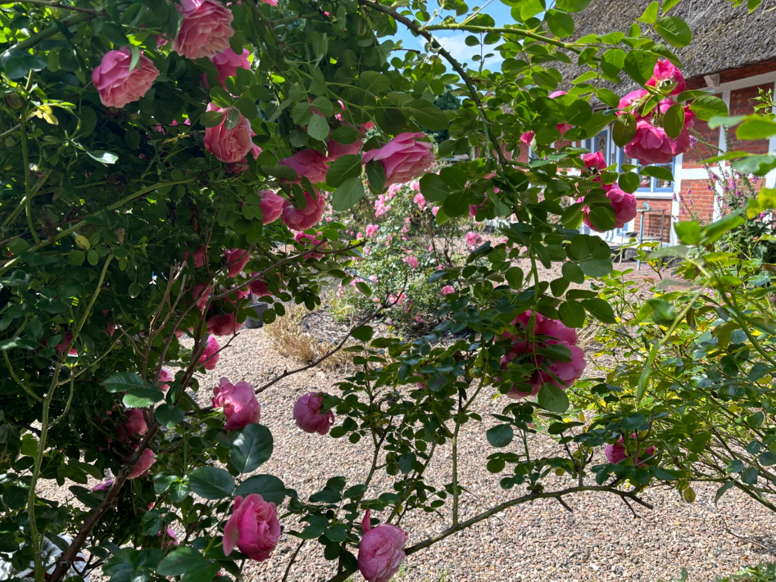 IMG_3695.webp