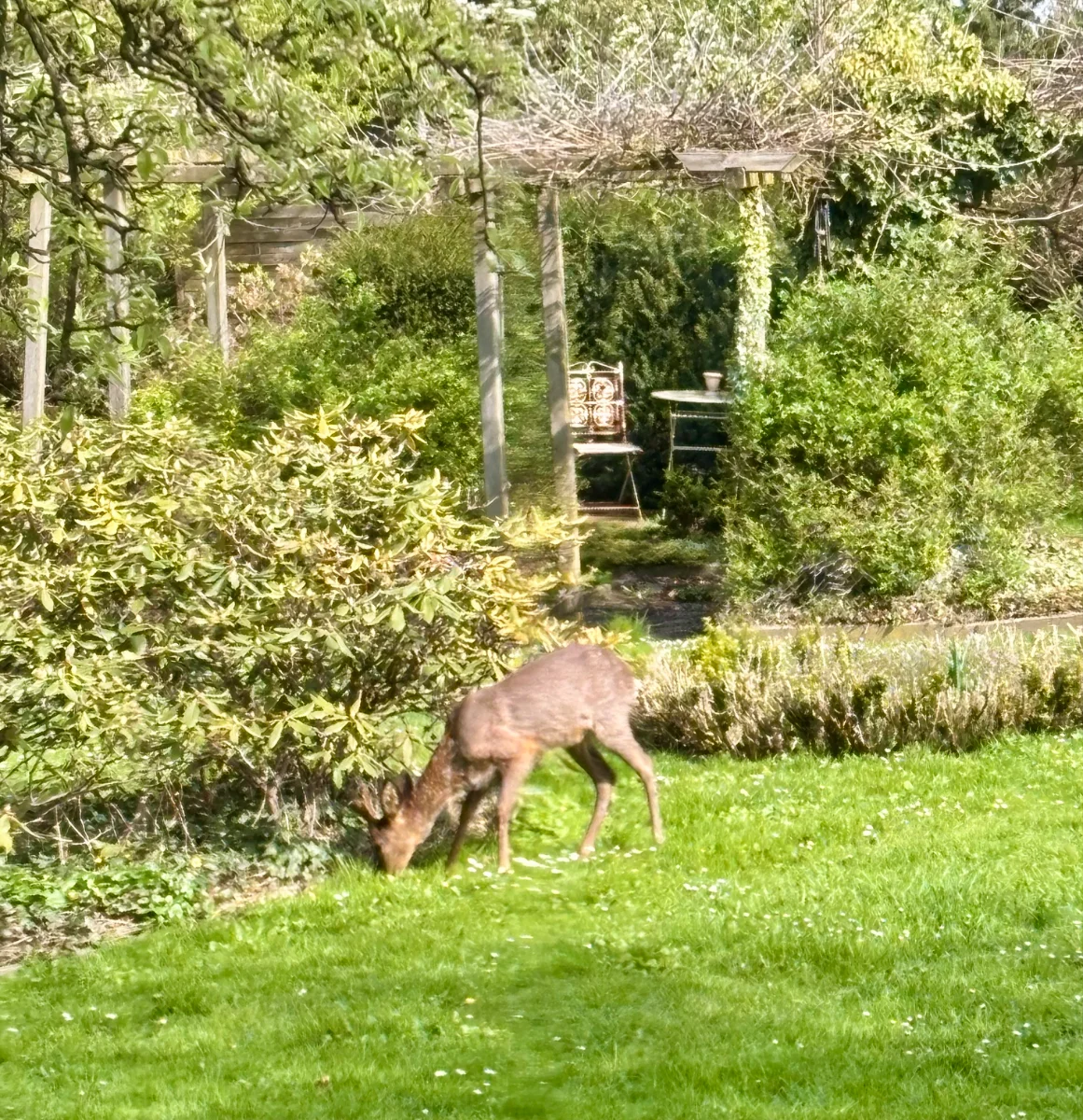 IMG_4170.webp