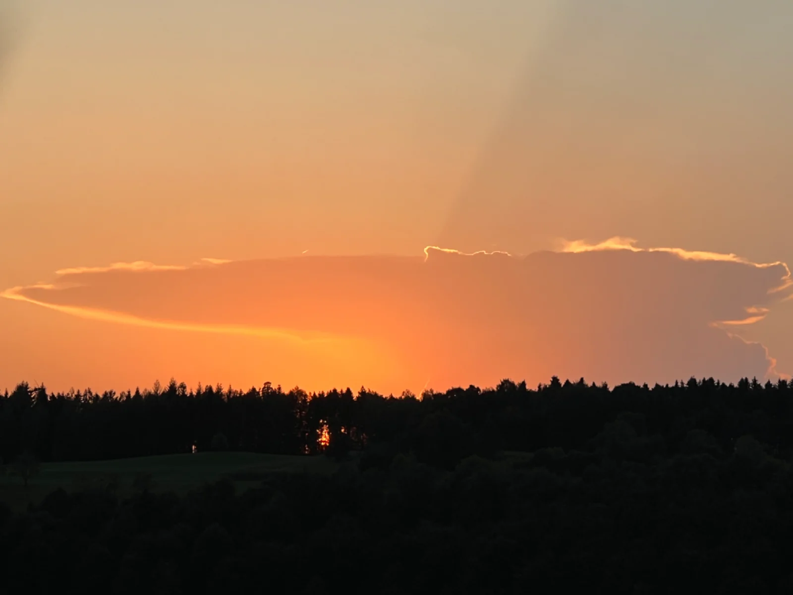 IMG_4333.webp