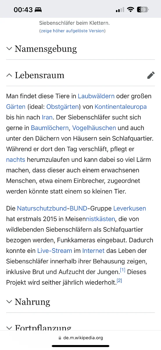 IMG_4726.webp