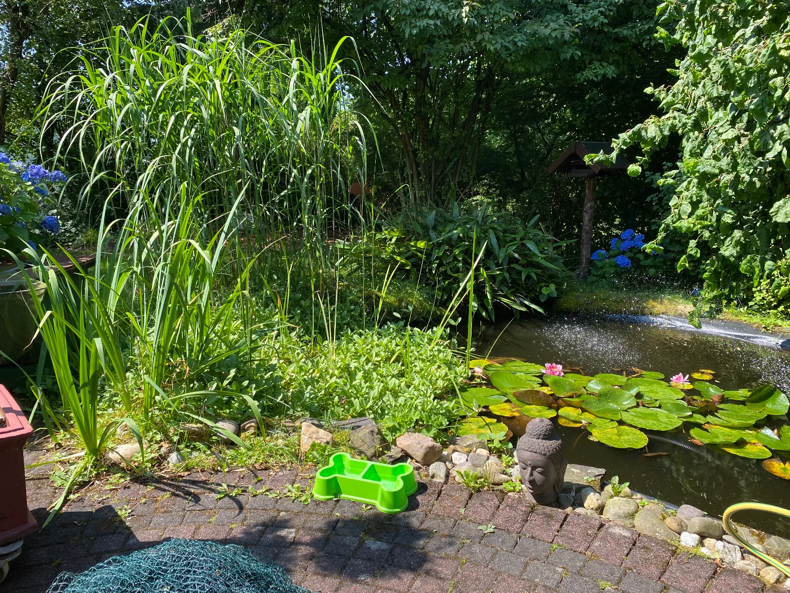 IMG_4829.webp