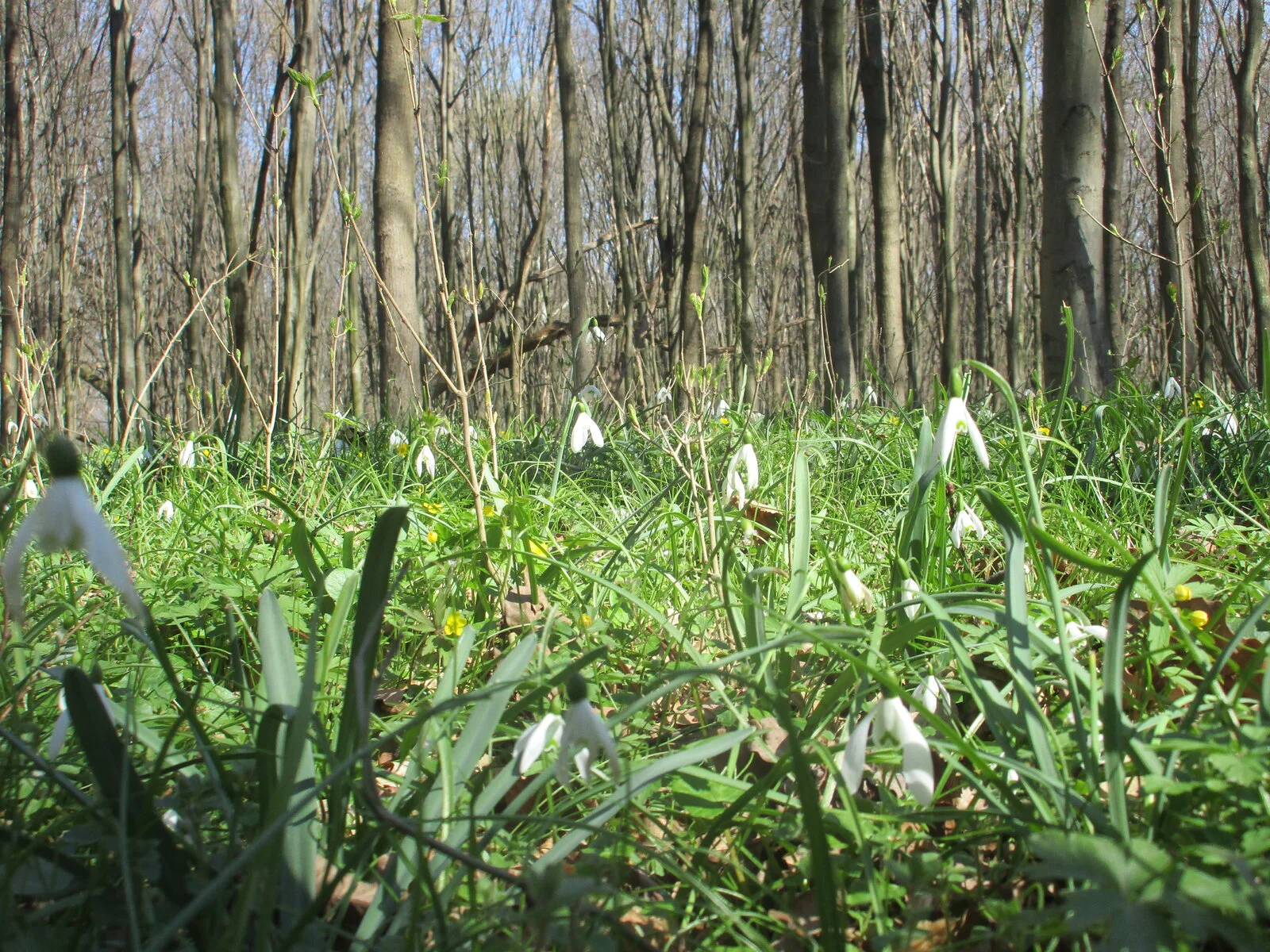 IMG_4900.JPG
