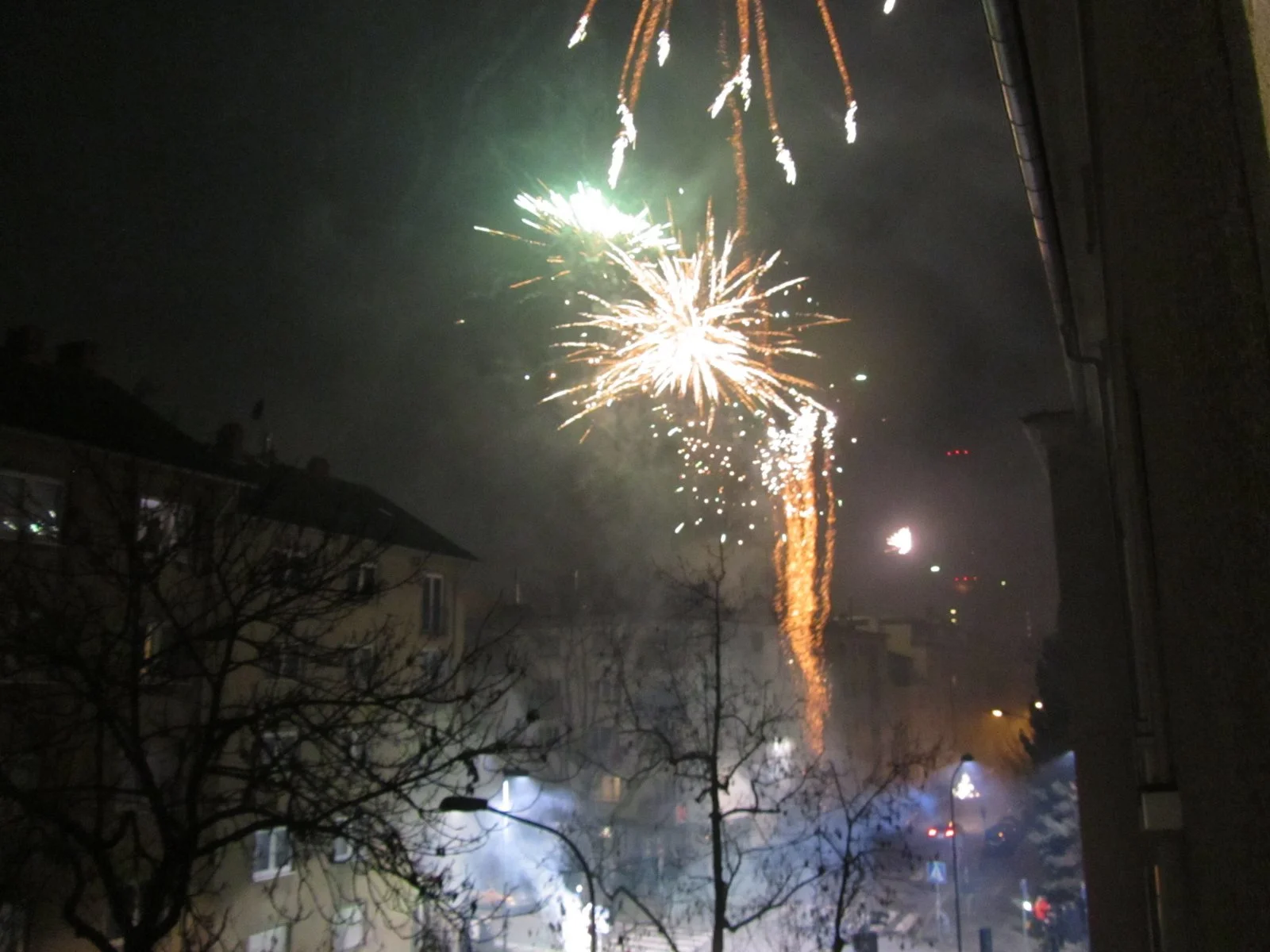 IMG_5237.JPG
