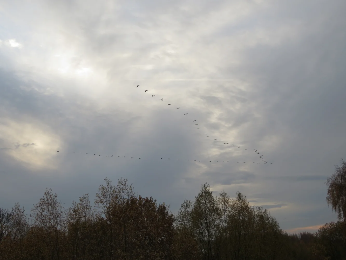 IMG_5318_sk.jPG