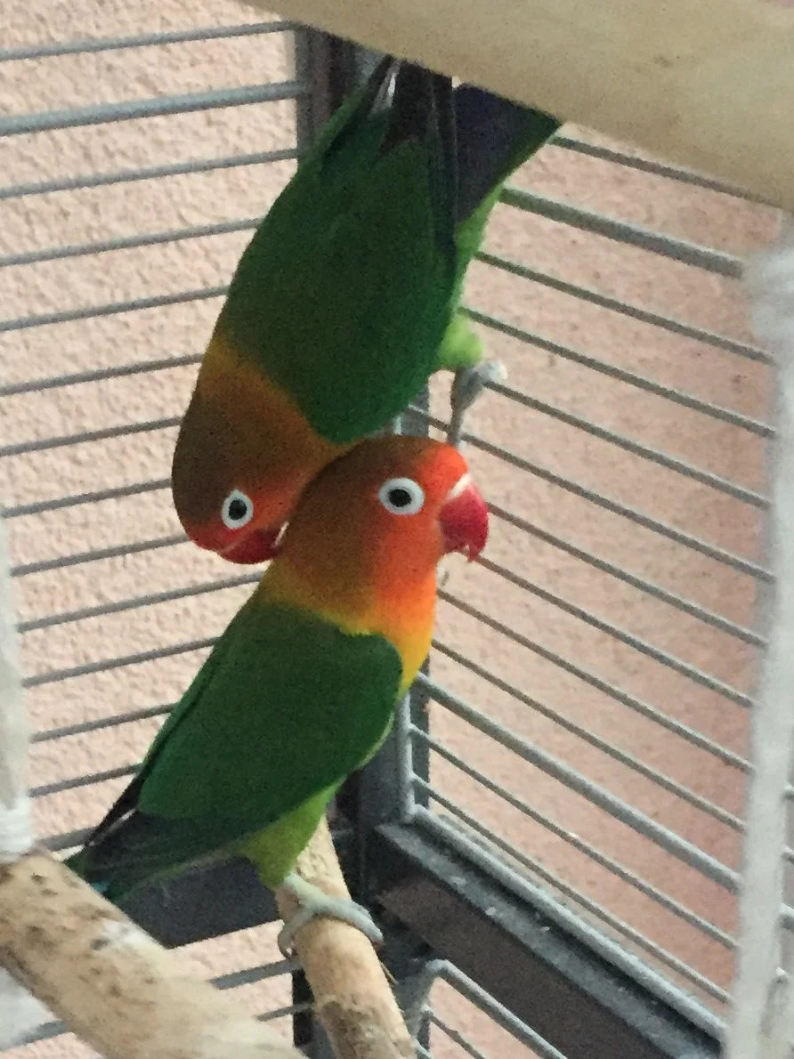 IMG_6688.JPG