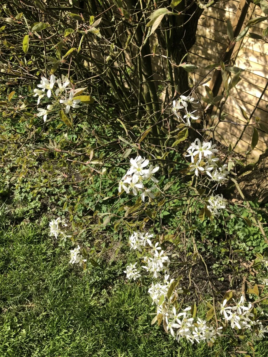 IMG_6911.jpeg