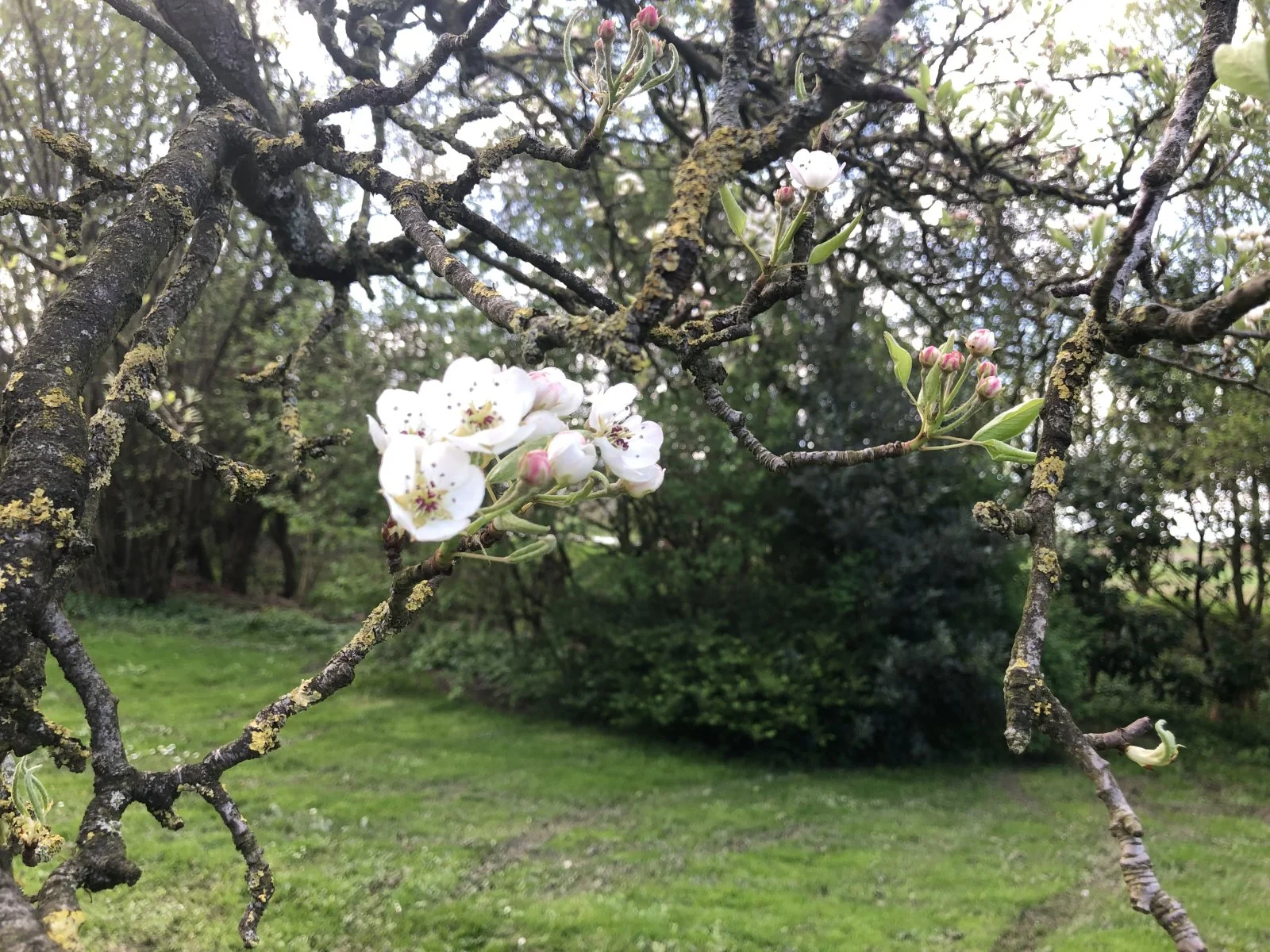 IMG_6919.jpeg