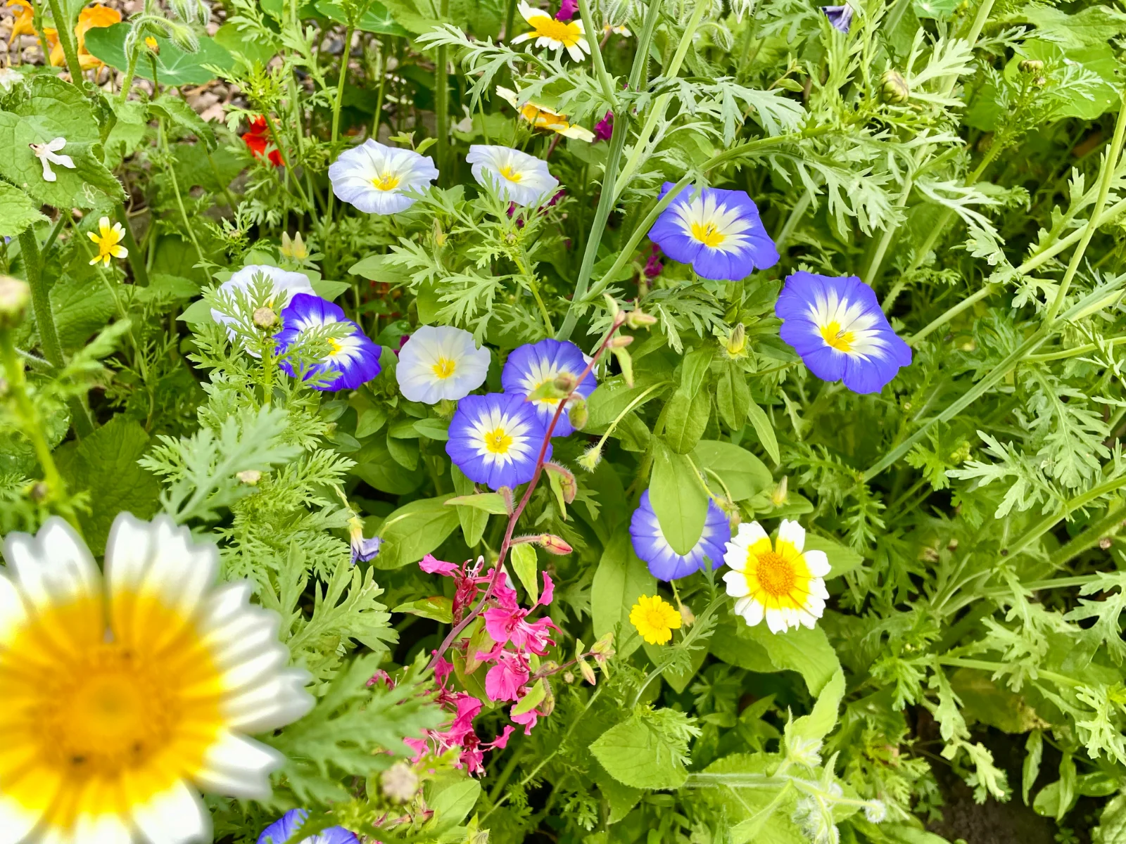 IMG_7461.webp