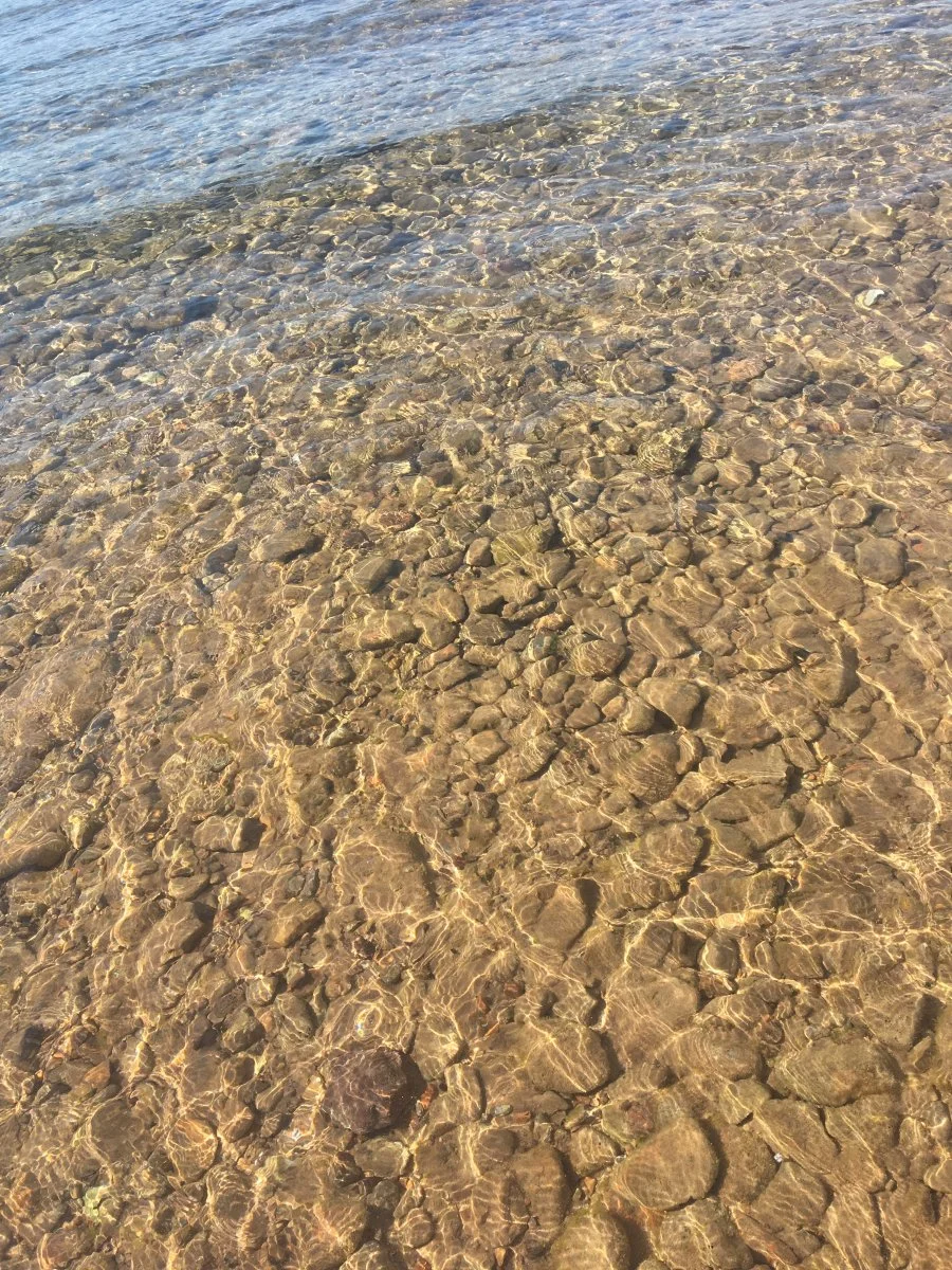 IMG_8271.JPG