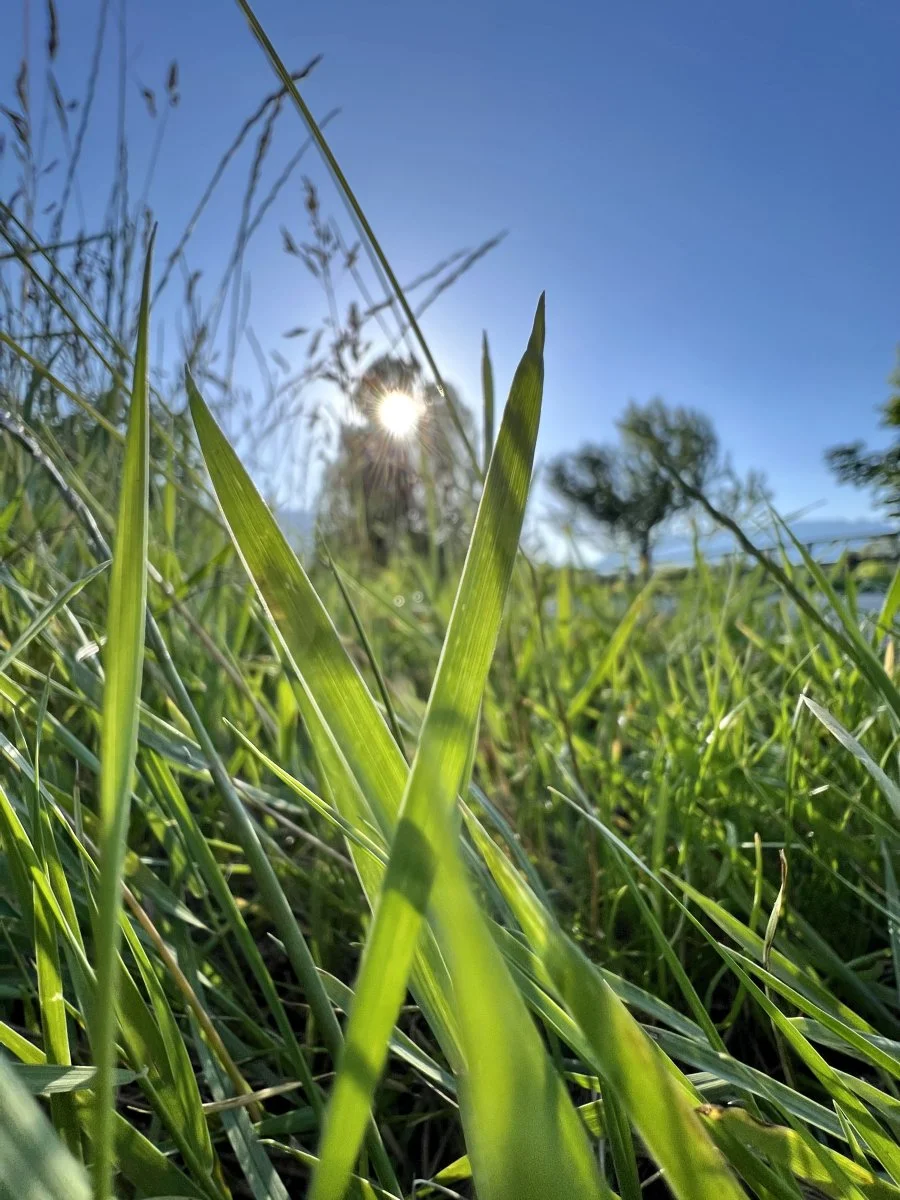 IMG_8705.jpeg