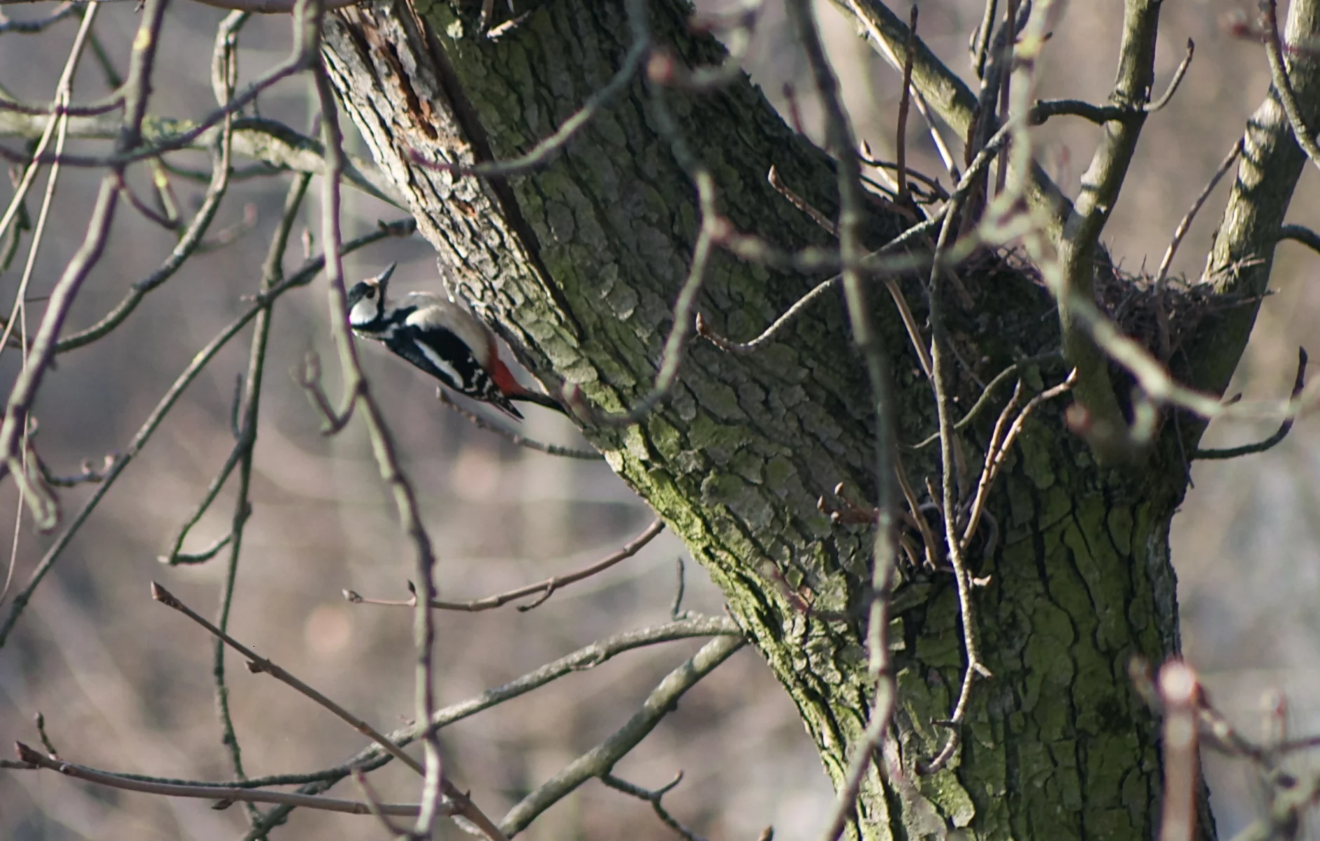 IMG_9410.webp