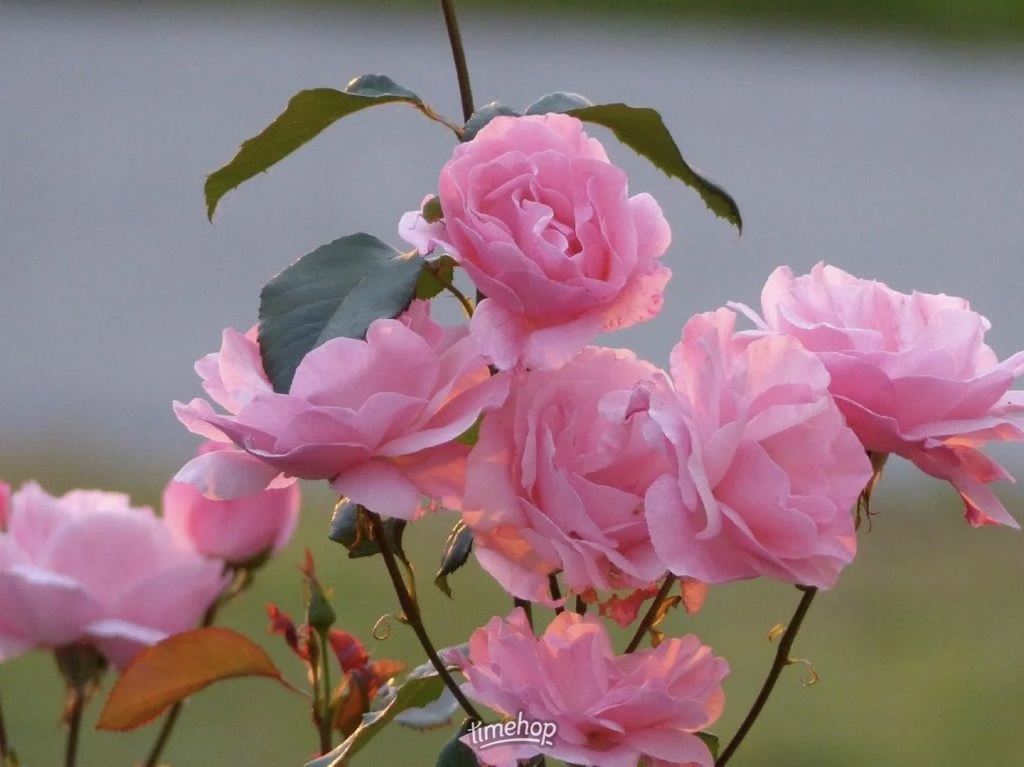 IMG_9539.webp