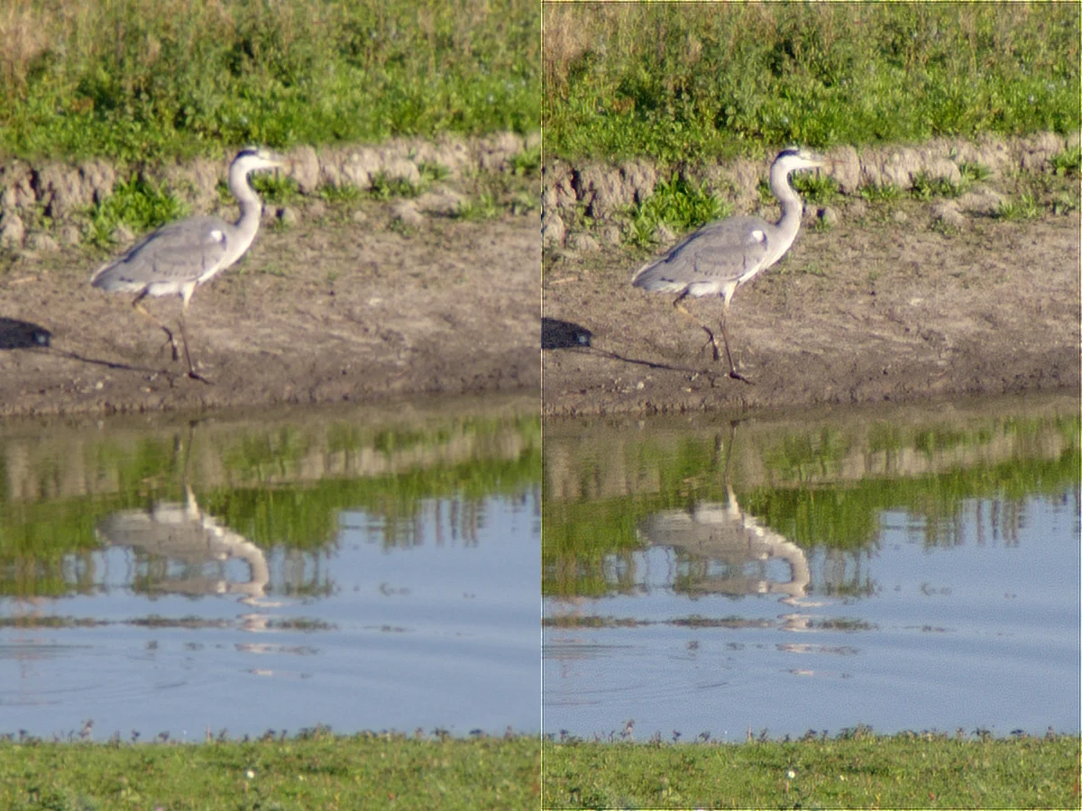 IMGP5397c_Reiher_Deconv.webp