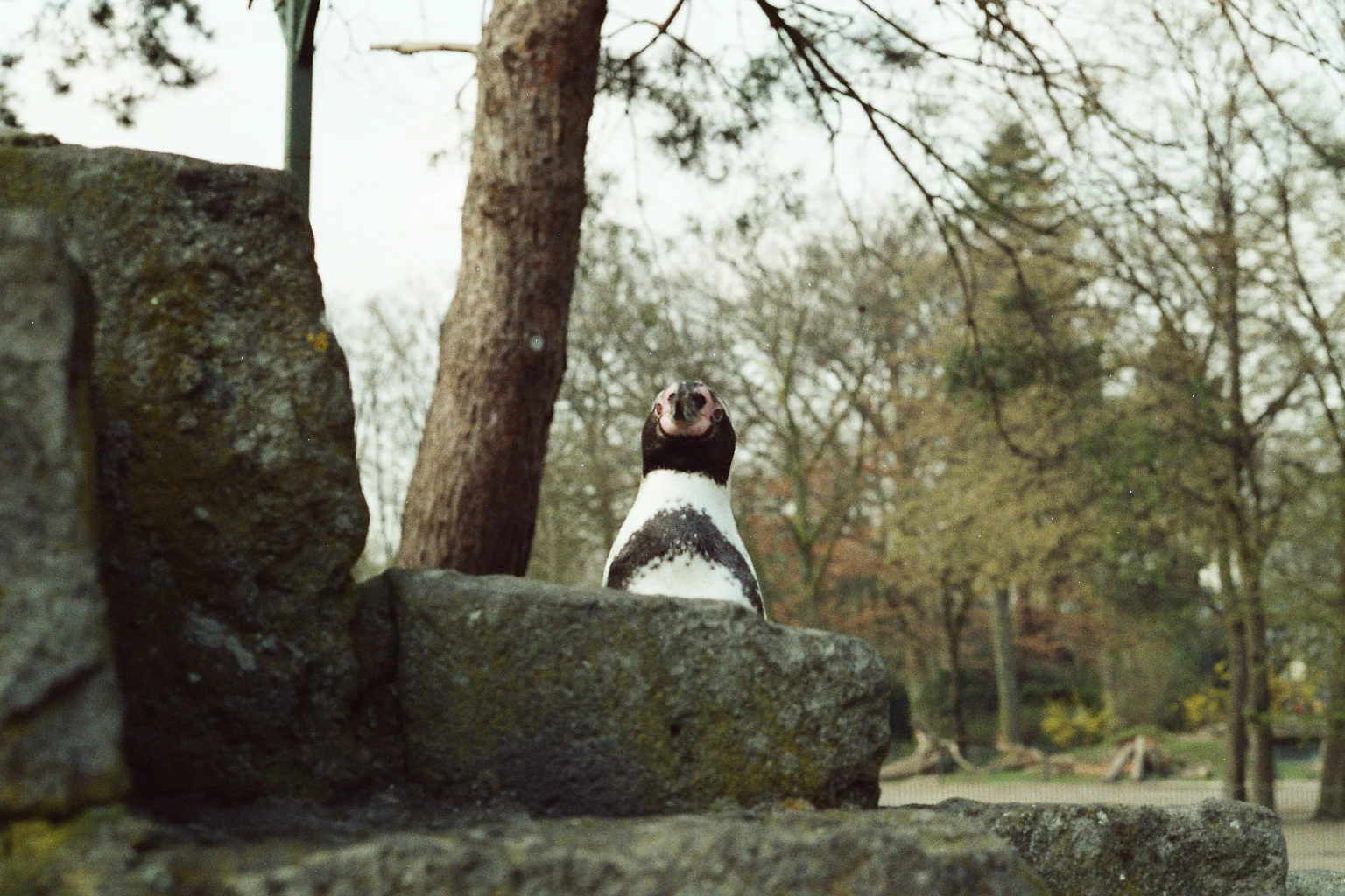 imm017_17.jpg