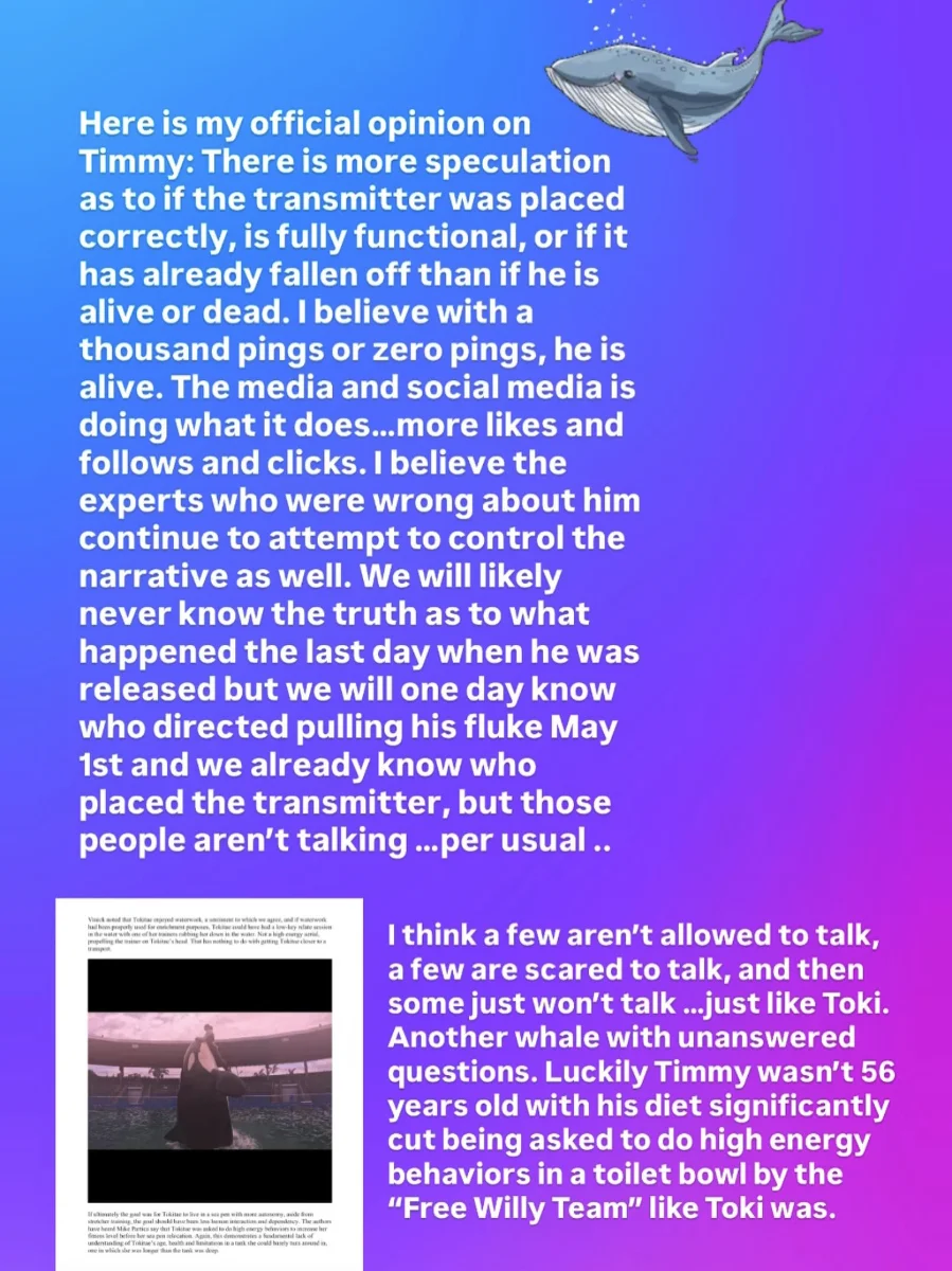 JennaWallace_Statement.webp