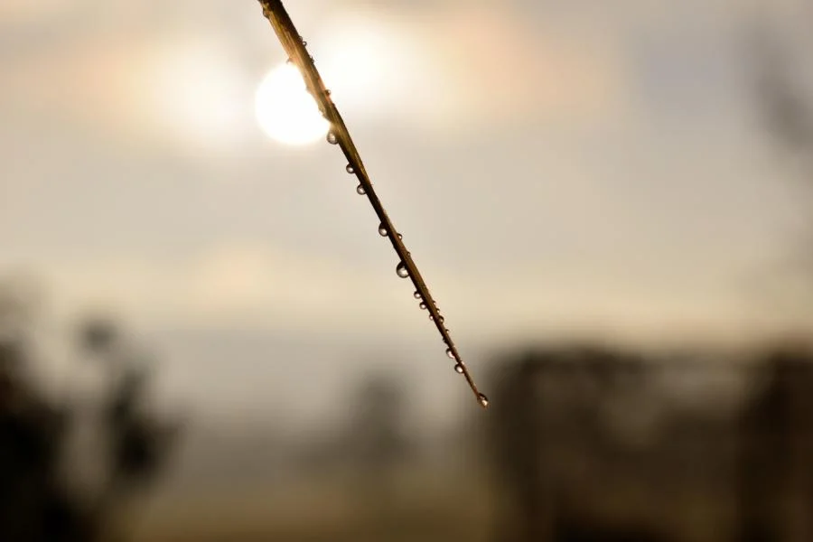 K800_DSC_3593.JPG