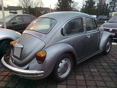 Käfer 2