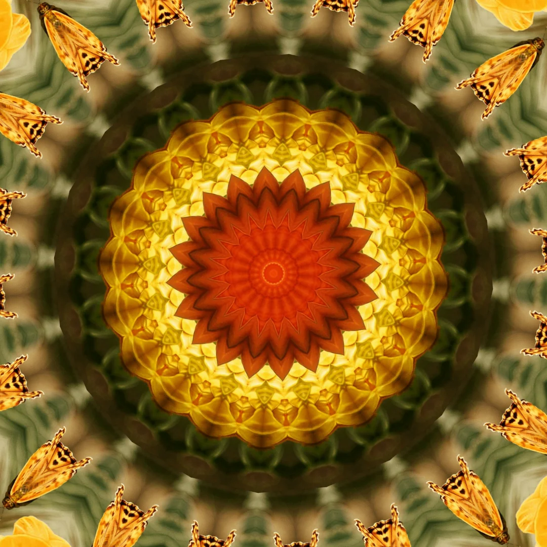 kaleidoscopeLime-20201117-113408.png