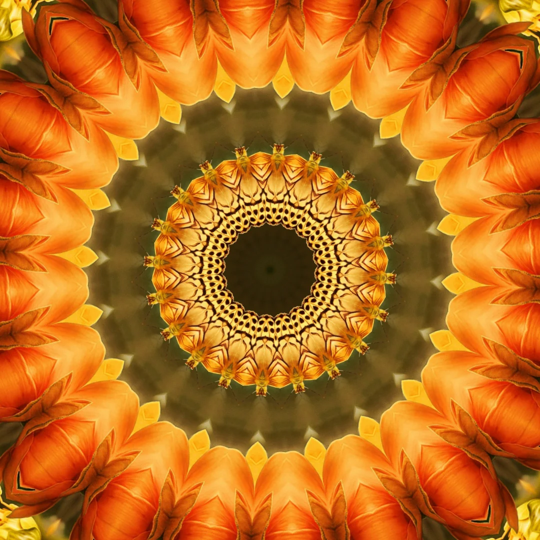 kaleidoscopeLime-20201117-113500.png