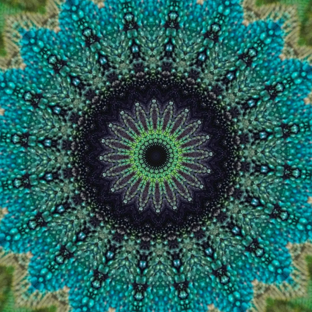 kaleidoscopeLime-20201118-193450.png