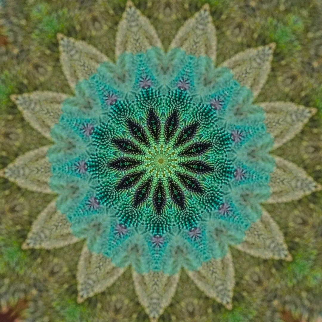 kaleidoscopeLime-20201118-193749.png