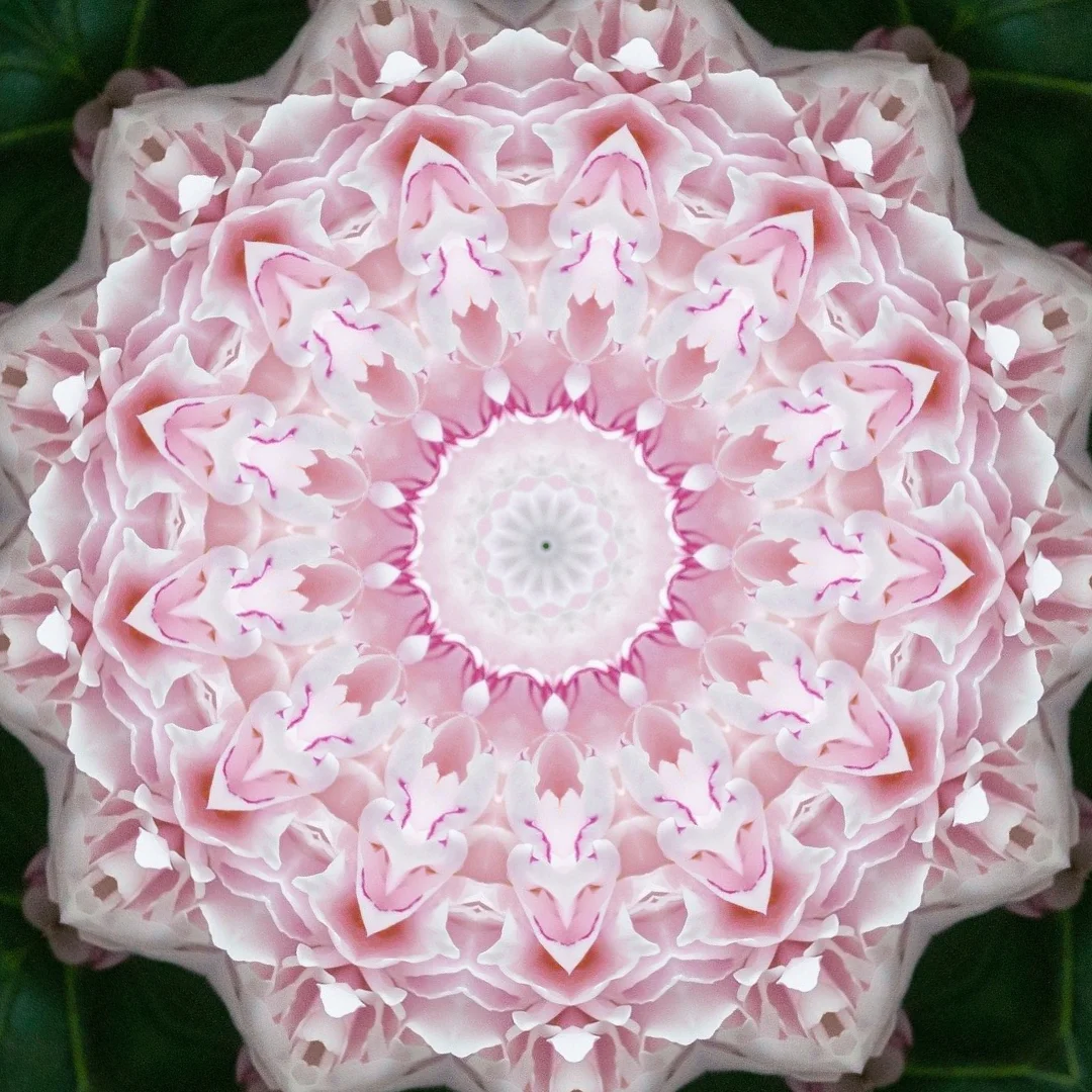 kaleidoscopeLime-20201119-143420.png
