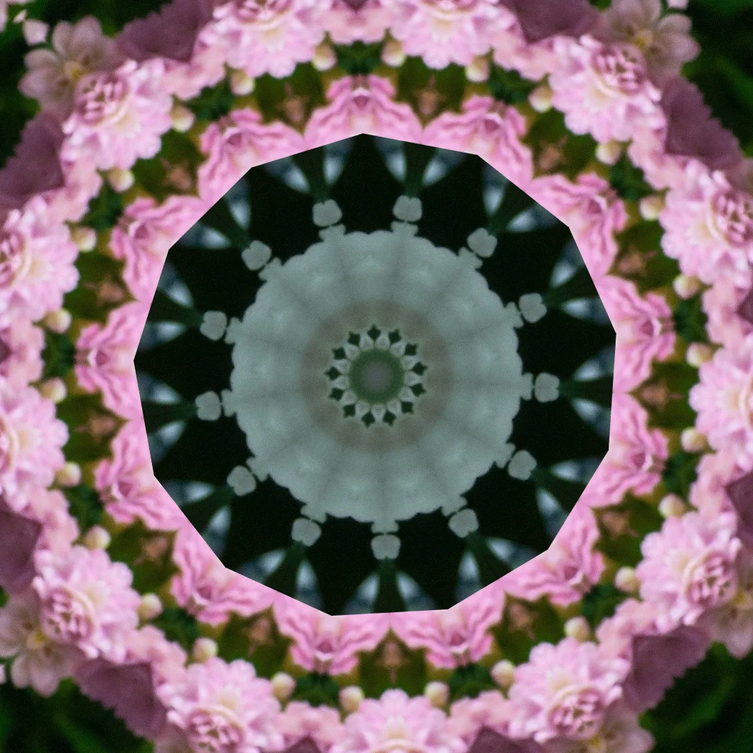 kaleidoscopeLime-20201119-143530.png
