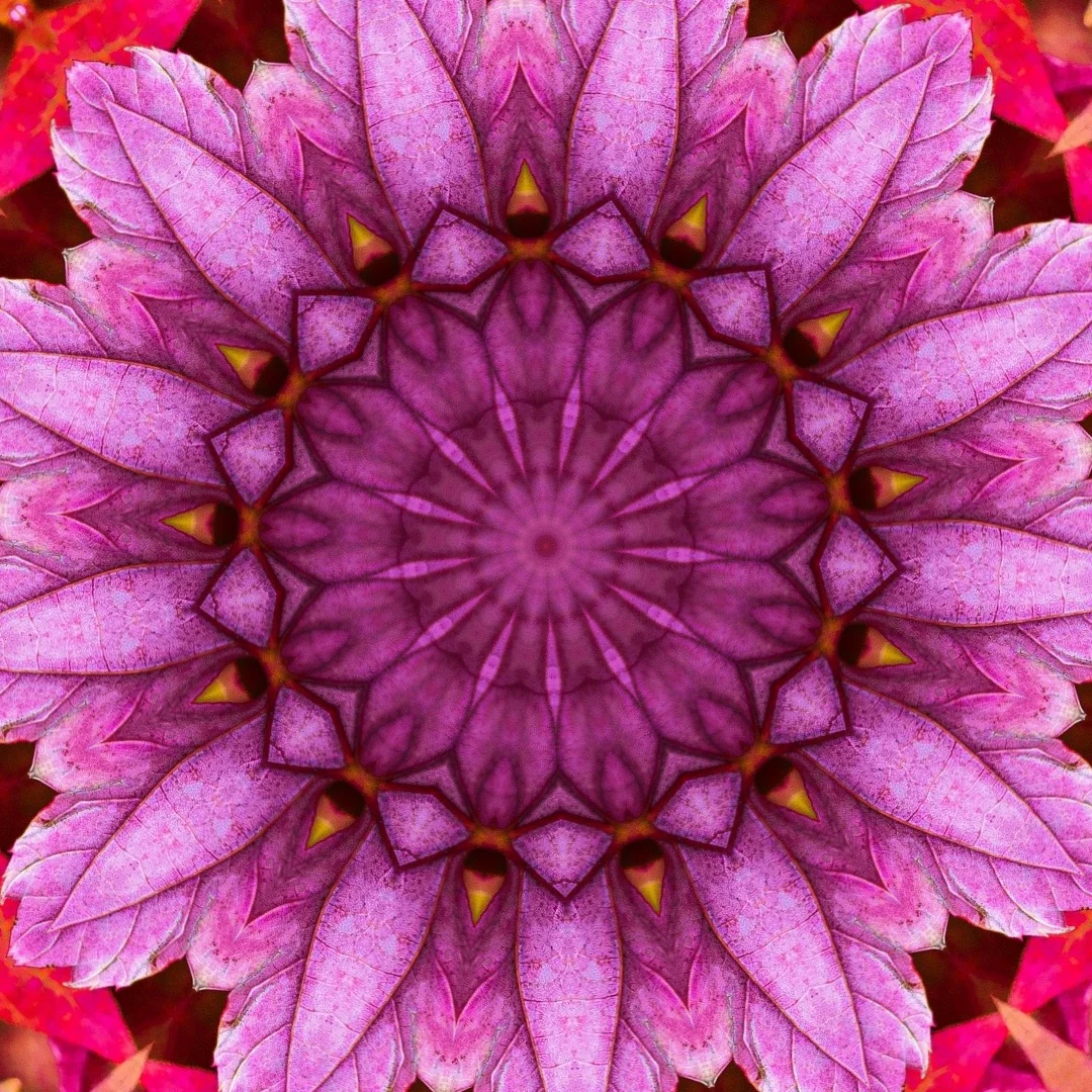 kaleidoscopeLime-20201120-195135.png