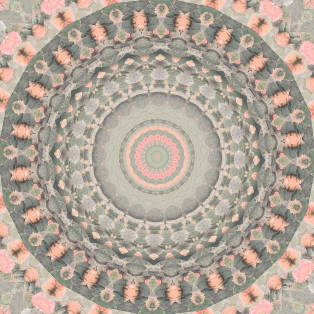 kaleidoscopeLime-20201202-212245.jpeg
