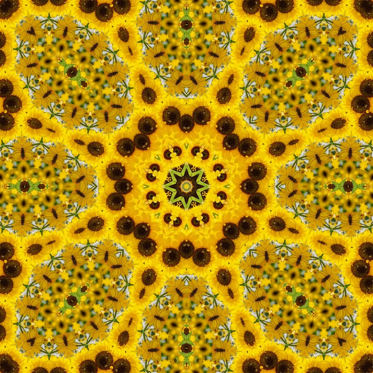 kaleidoscopeLime-20201206-085400_mirror2.jpg