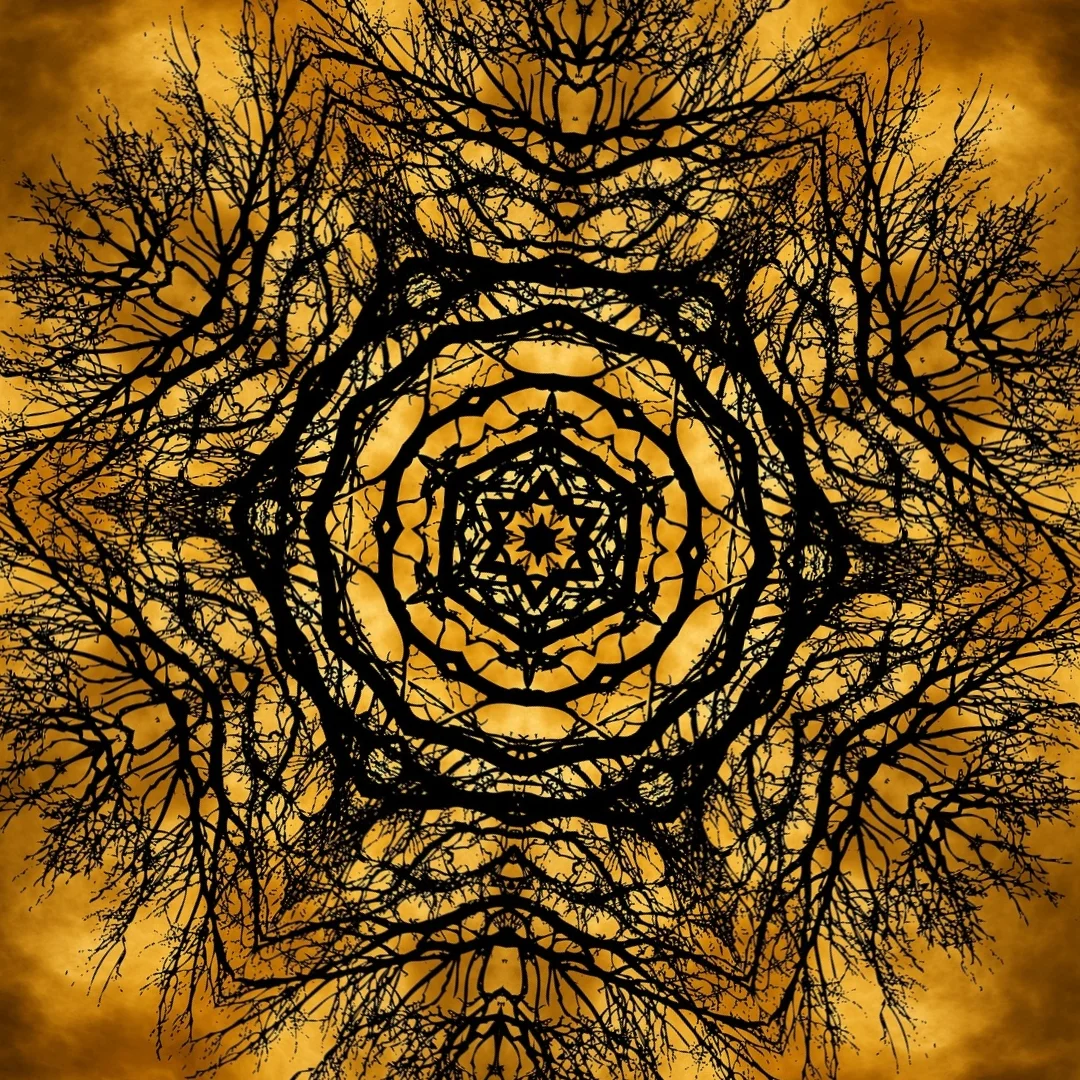 kaleidoscopeLime-20201210-191720.jpeg