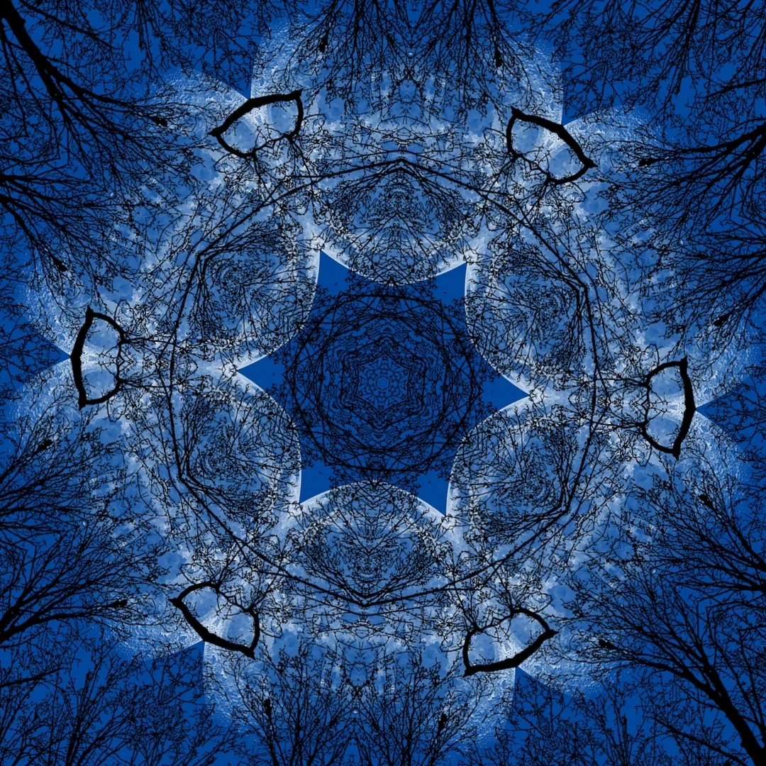 kaleidoscopeLime-20201210-191917.jpeg