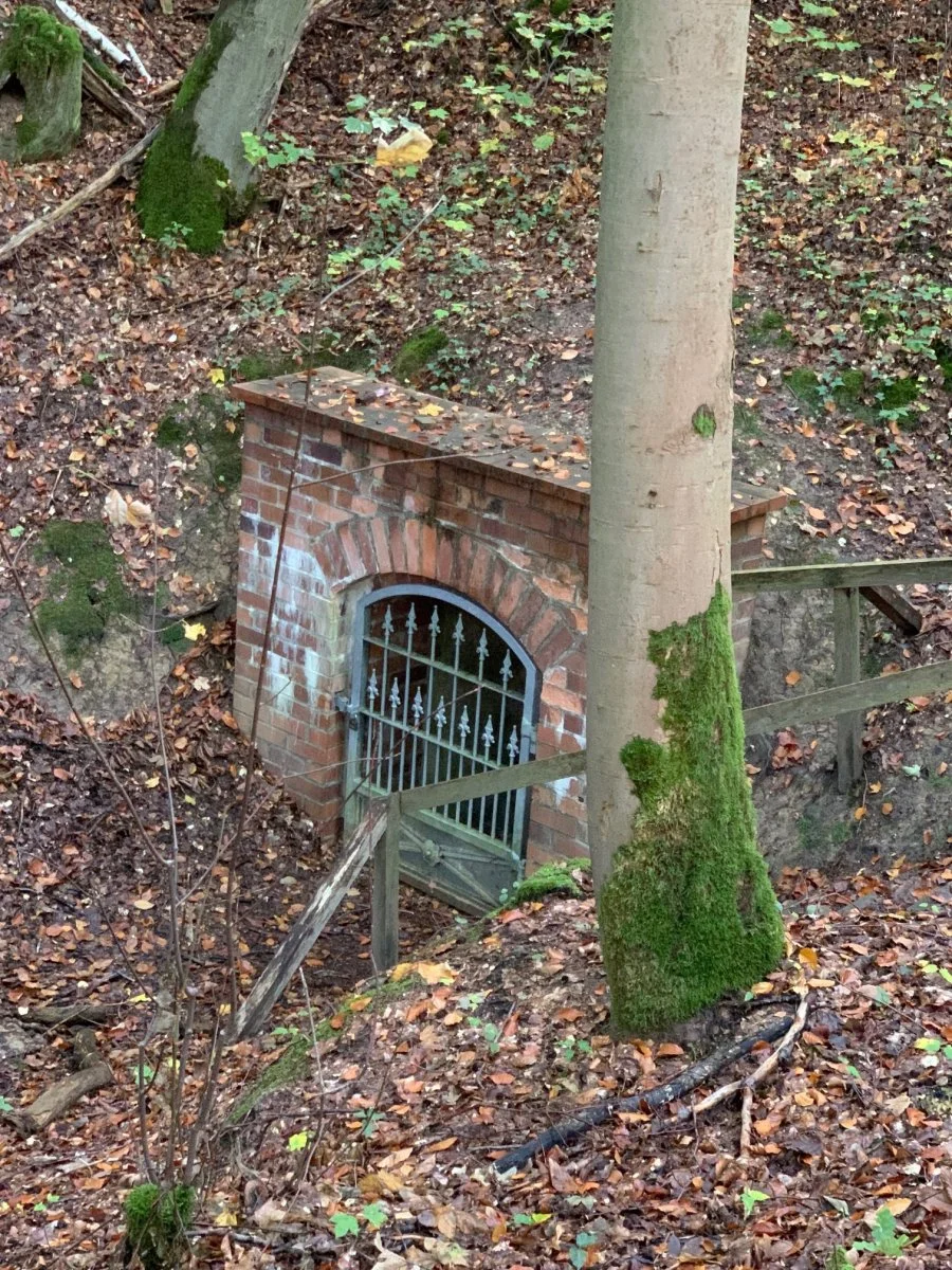 keller im wald.jpg