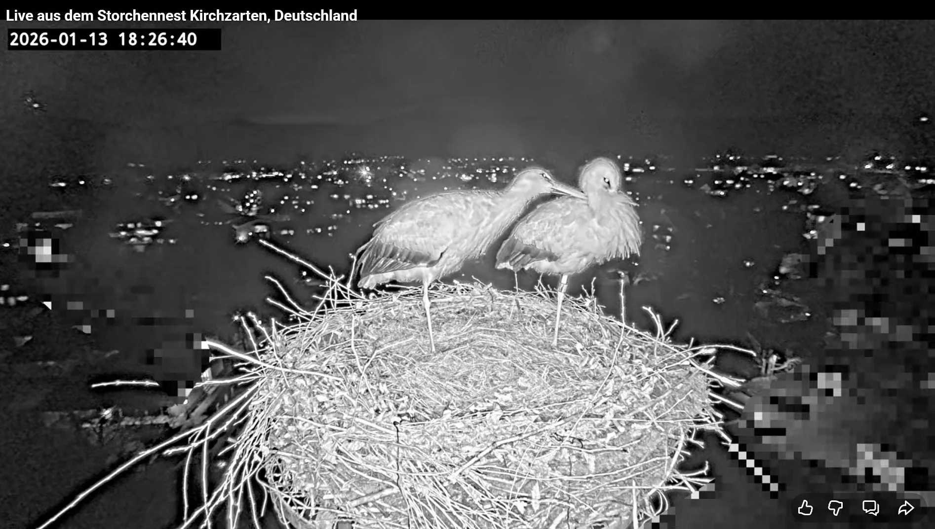 Kirchzarten_2026-01-13 18Uhr26-40- Ulla-und-Edgar.übernachten.webp