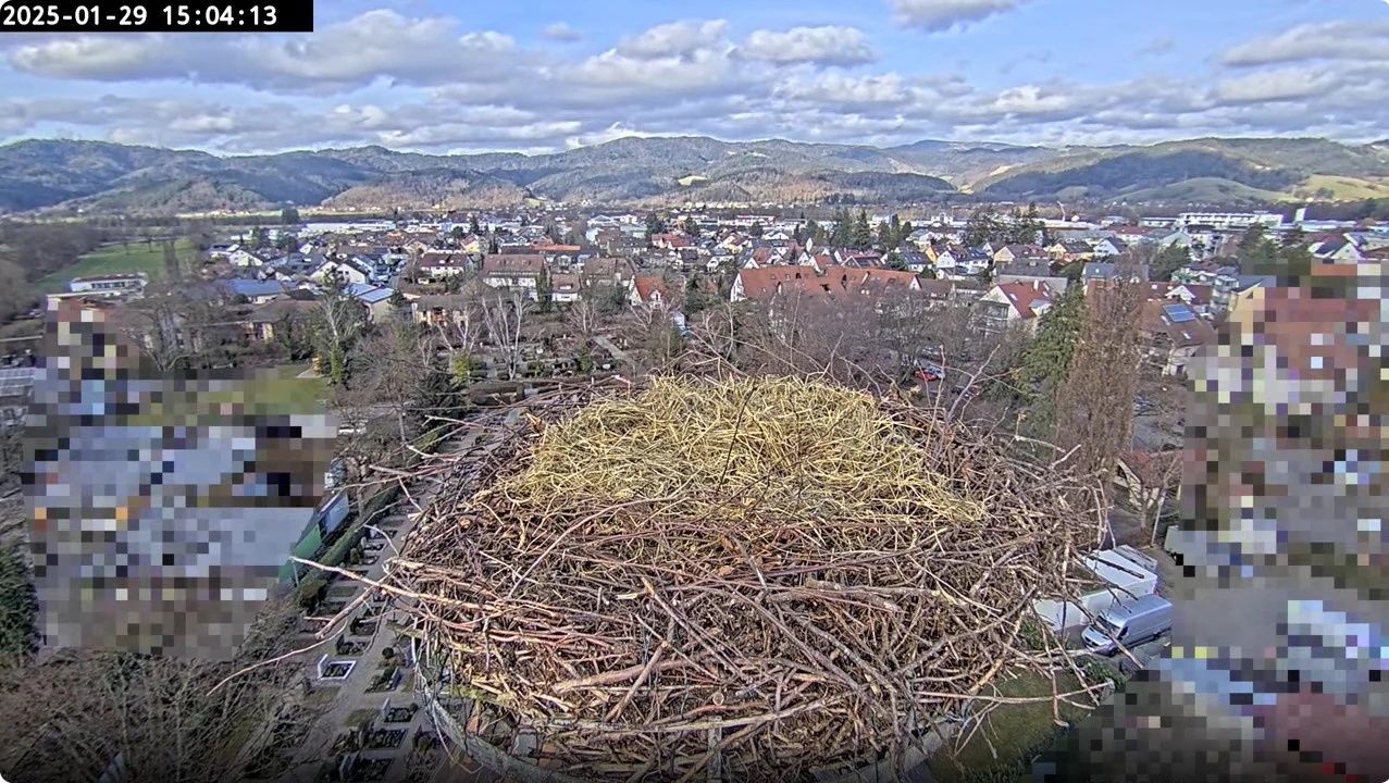 Kirchzarten_Nestreinigung-fertig_2025-01-29_15Uhr04.webp