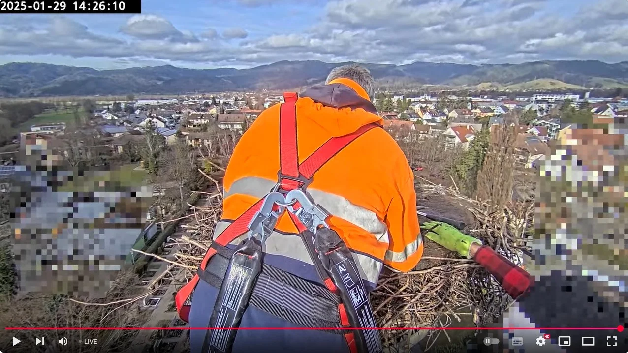 Kirchzarten_Nestreinigung_2025-01-29_14Uhr26.webp