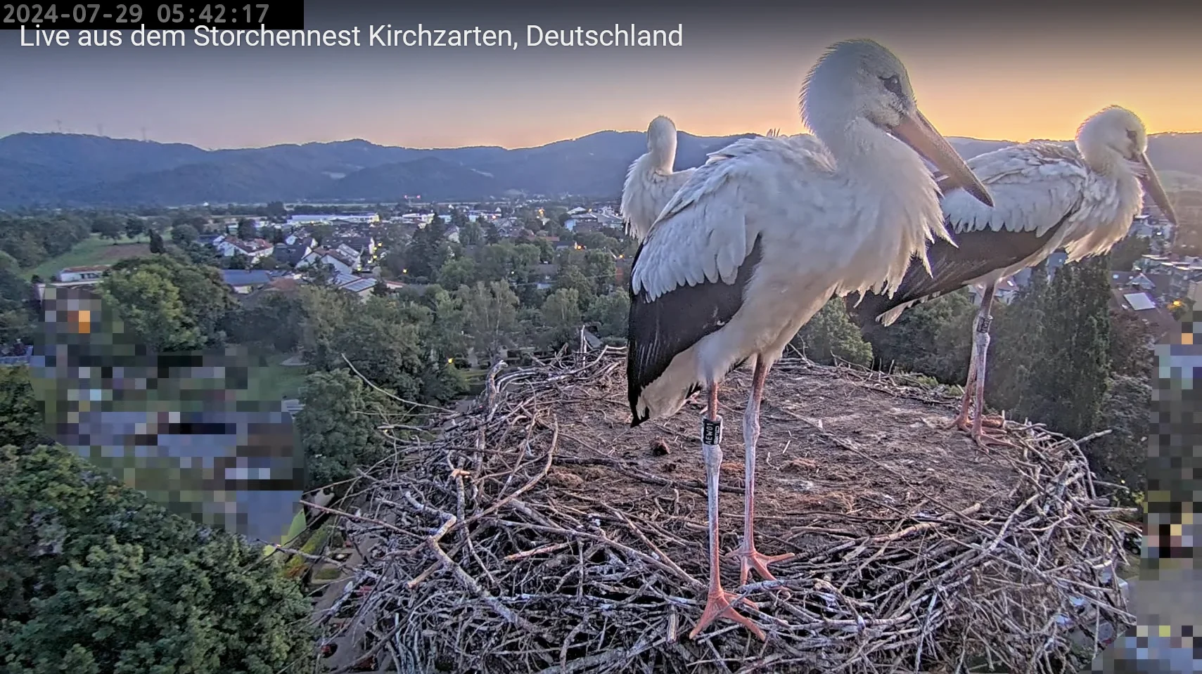 Kirchzarten_Ring_29Juli2024_HD3.webp