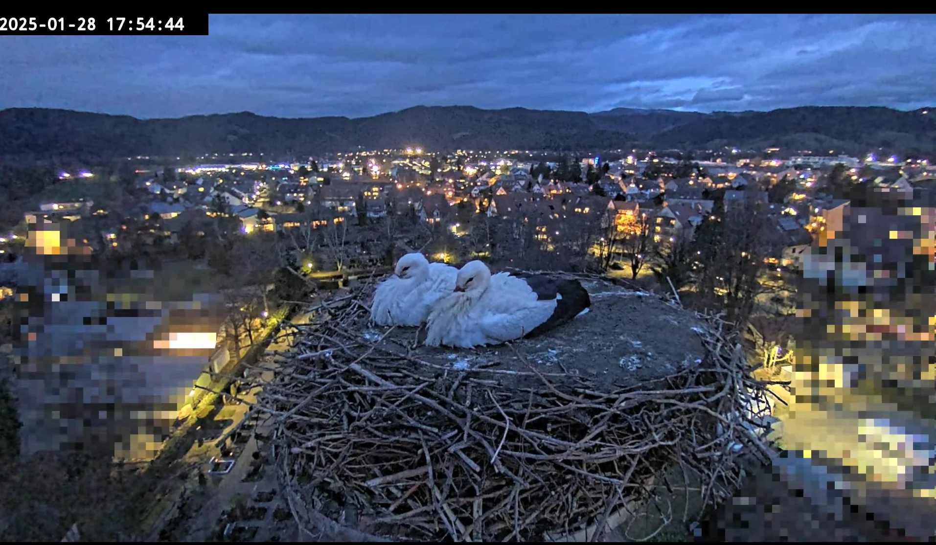 Kirchzarten_Ulla-u-Edgar_ Webcam_2025-01-28.webp