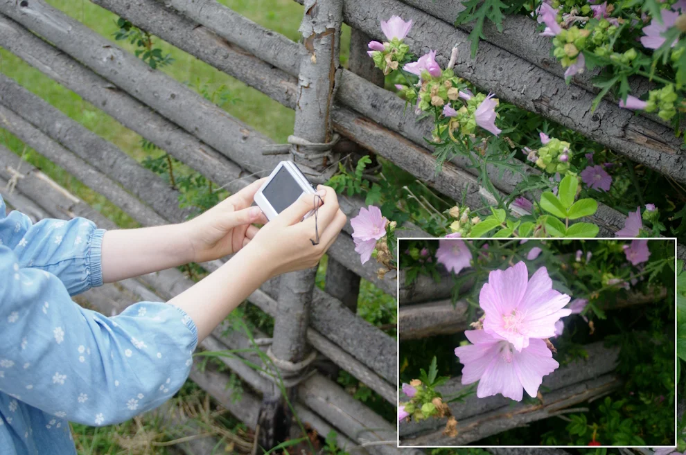 KlaraFotografiert_k.webp