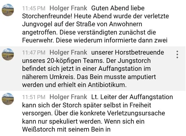 Leutershausen_verletzter-Jungstorch-gerettet1.webp