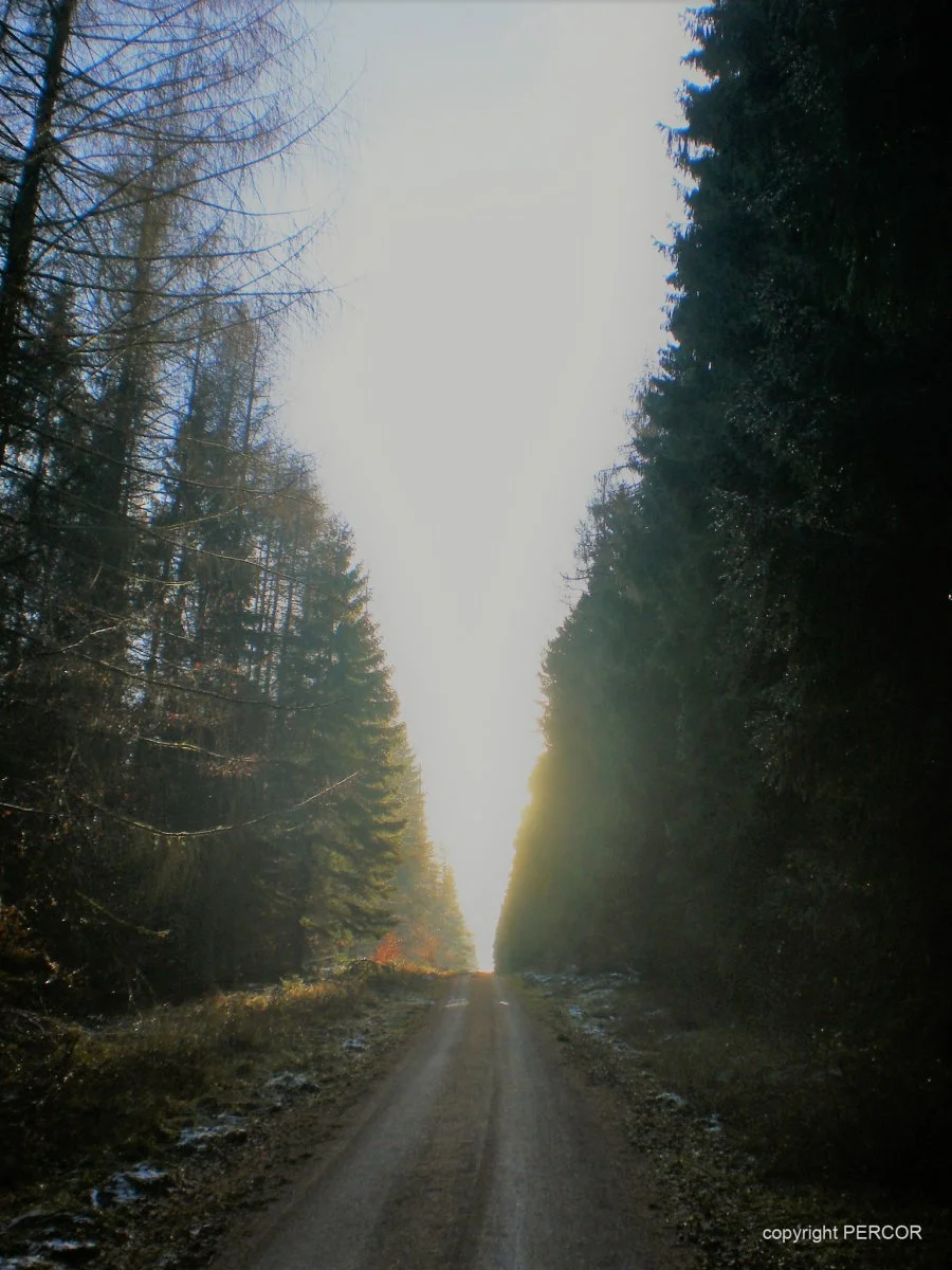 Licht.jpg