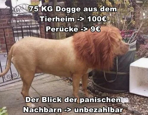 löwe.jpg