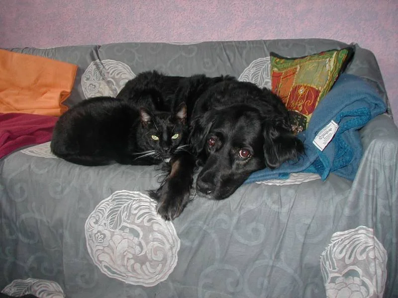 Lucy und Harald